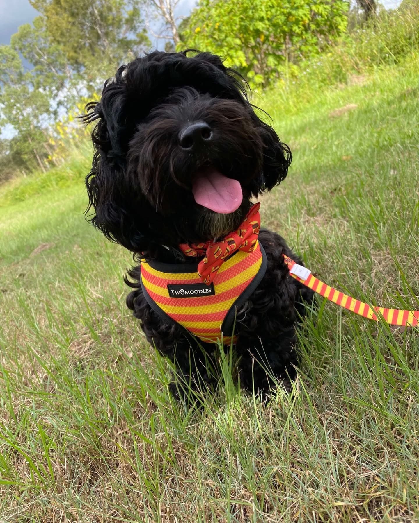 HARNESS REVERSIBLE - DOGEMITE