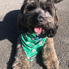 BANDANA - MINTIES