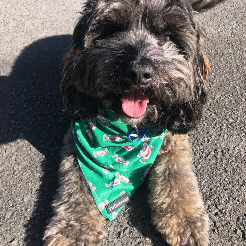 BANDANA - MINTIES