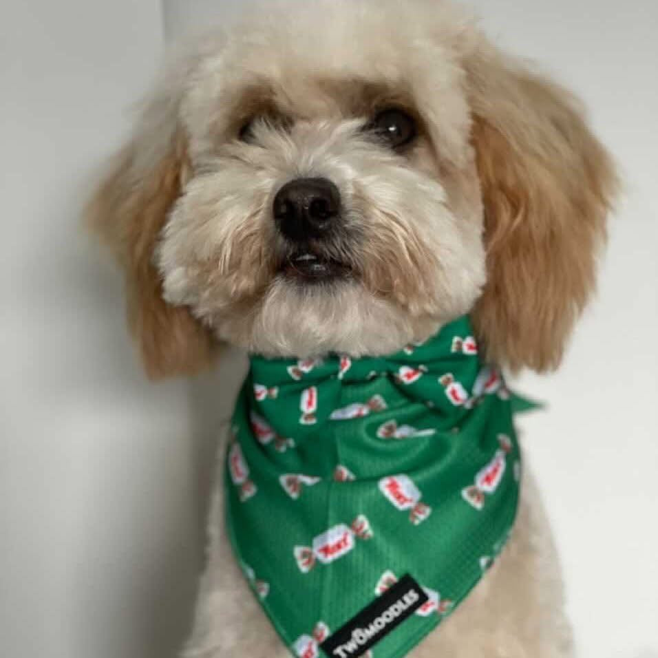 BANDANA - MINTIES