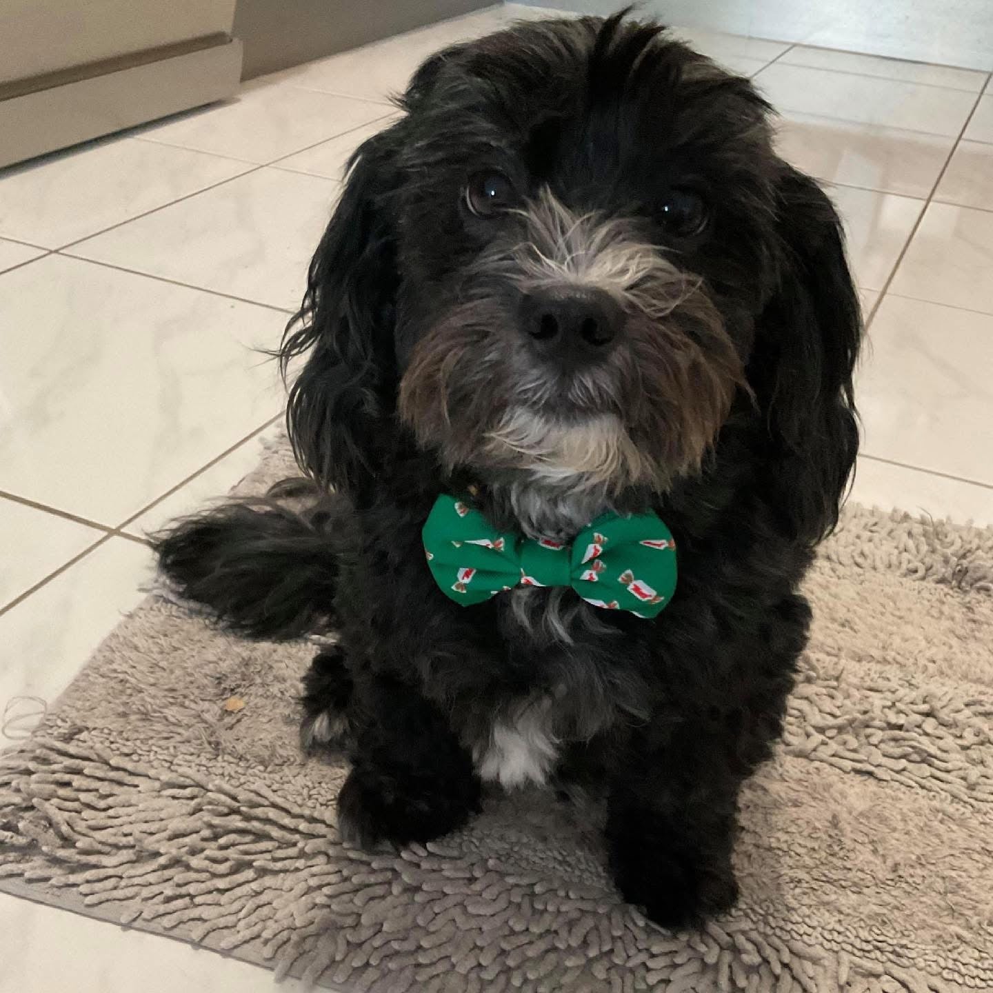 BOW TIE- MINTIES