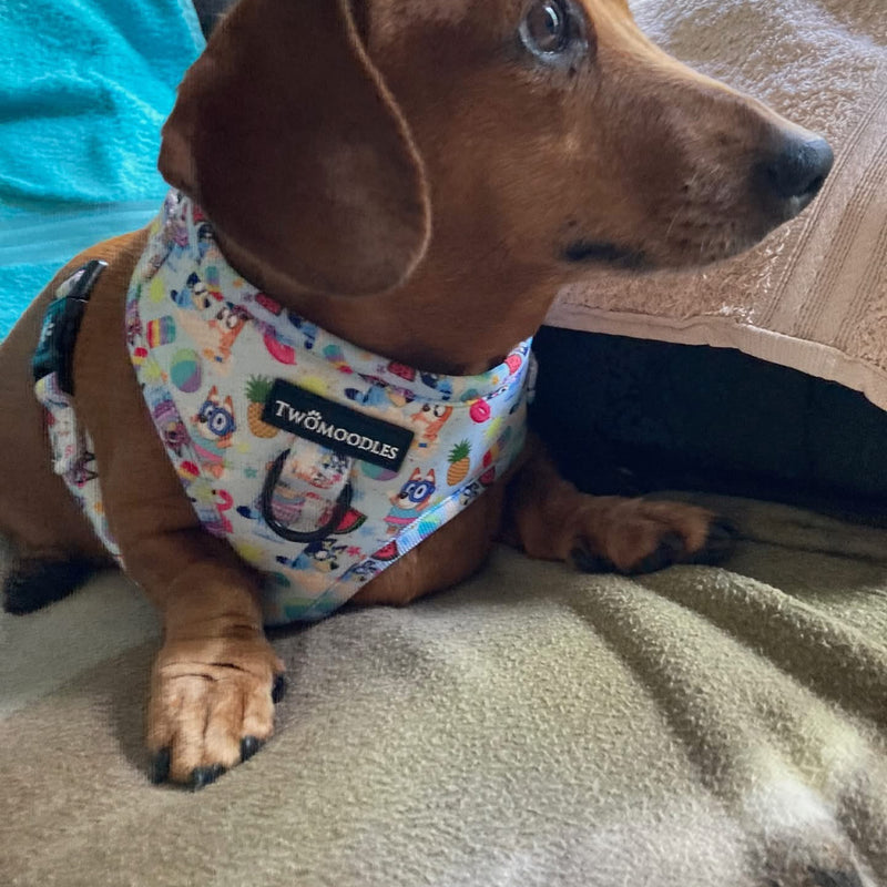 HARNESS ADJUSTABLE - BEACH BLUEY