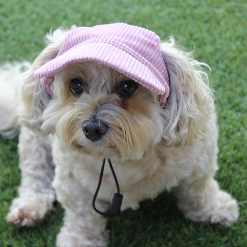 DOG HATS