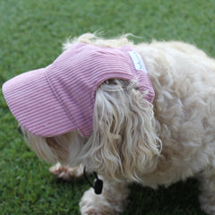 DOG HATS