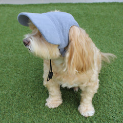 DOG HATS