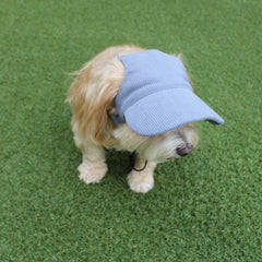 DOG HATS