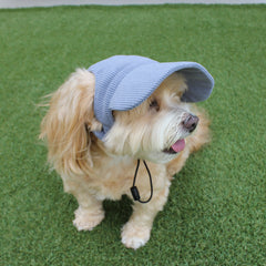 DOG HATS