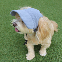 DOG HATS