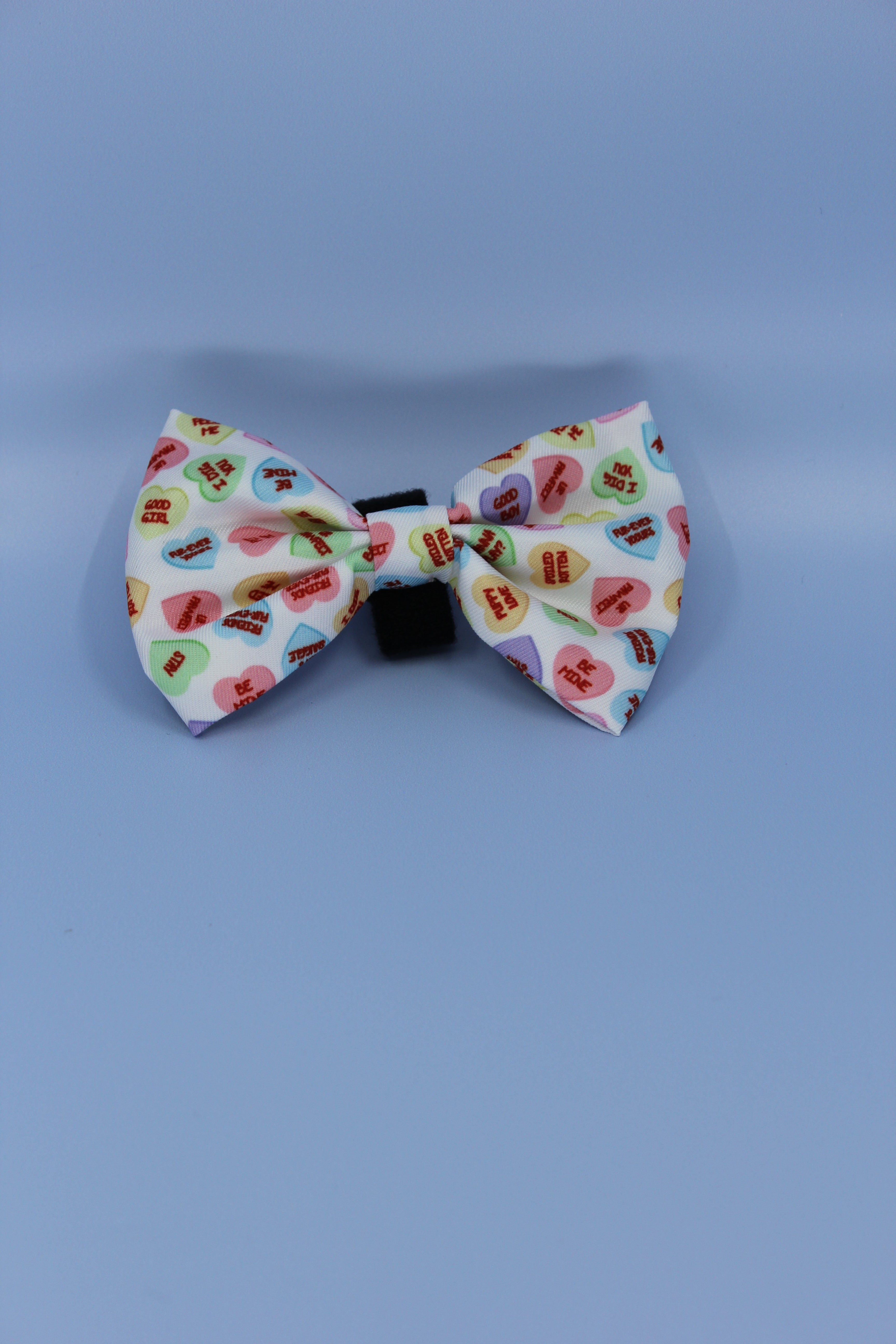BOW TIE - SWEET TALKER