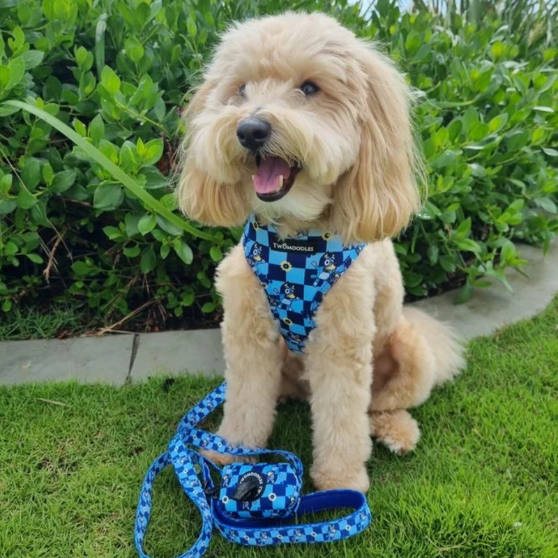 LEASH - TRUE BLUEY