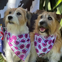 BANDANA - PURPLE POPPY 