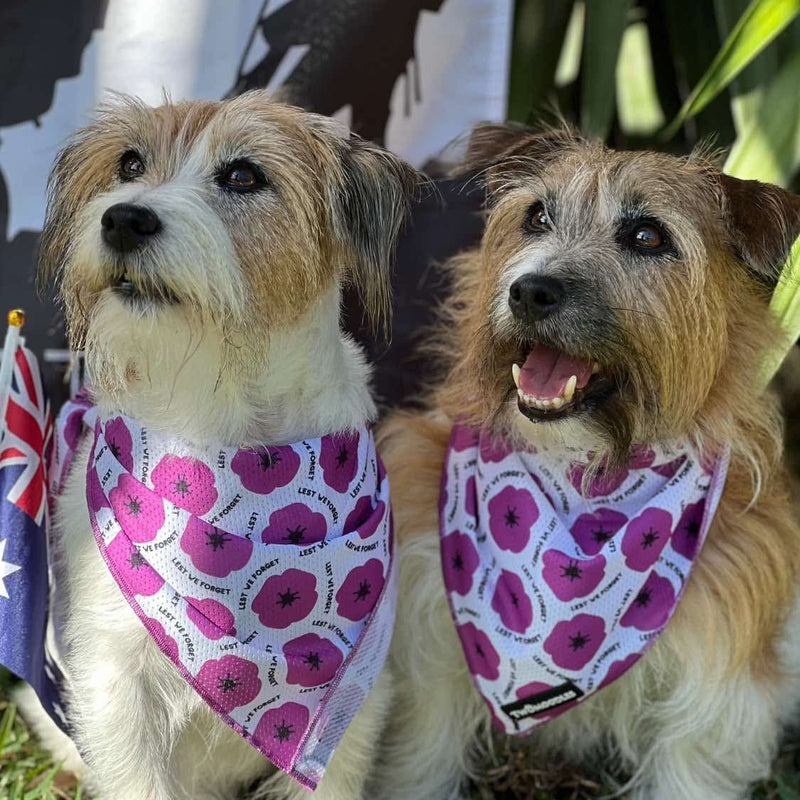 BANDANA - PURPLE POPPY 