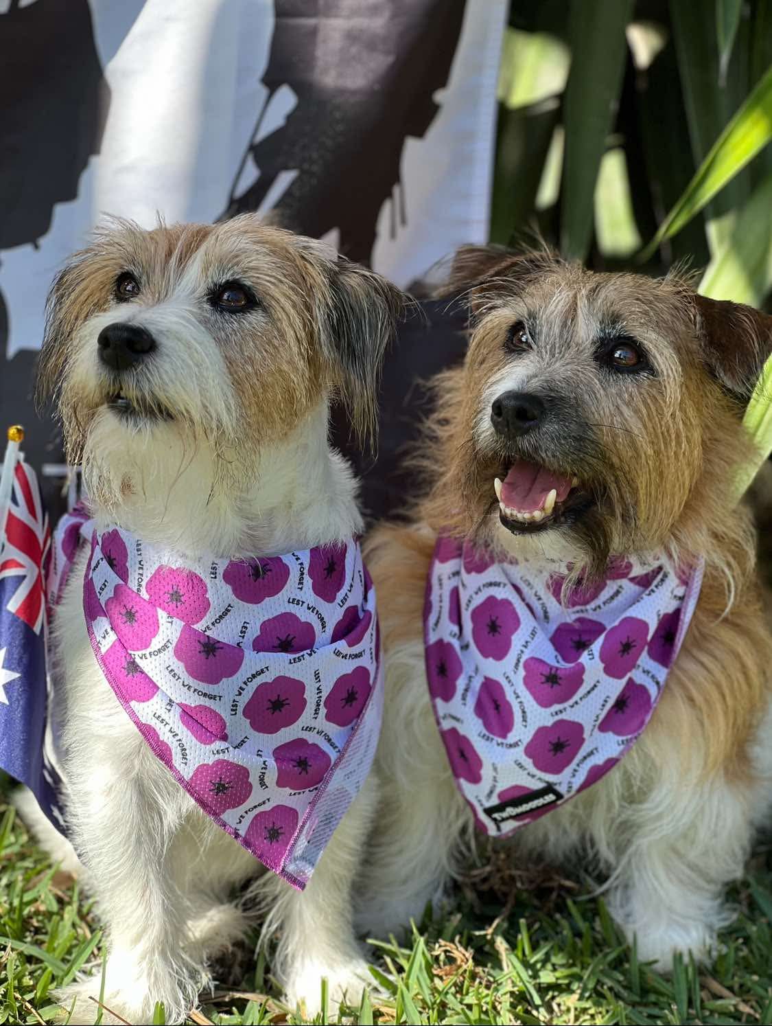 BANDANA - PURPLE POPPY "LEST WE FORGET"