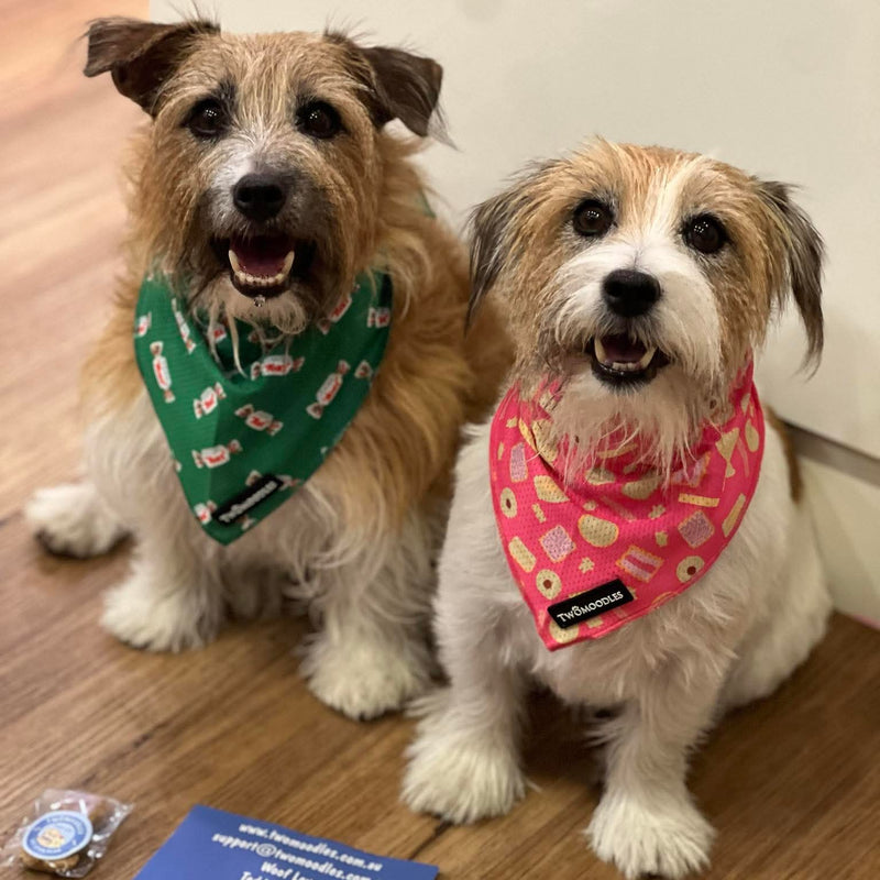 BANDANA - MINTIES