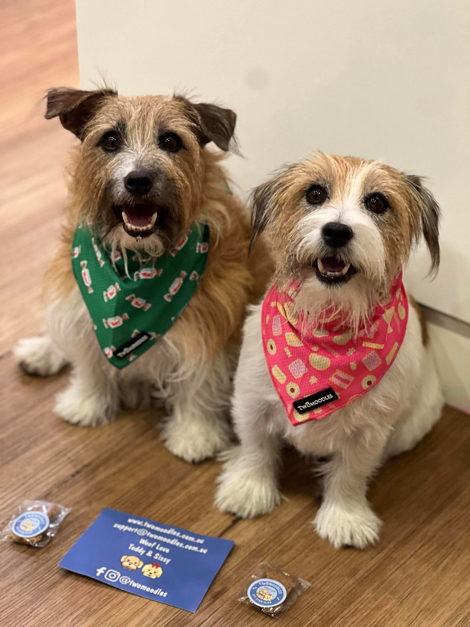 BANDANA - MINTIES