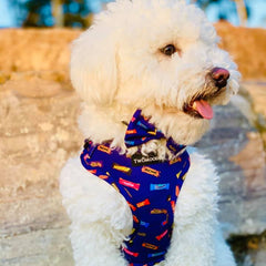 FAVEMUTT ADJUSTABLE HARNESS - Twomoodles