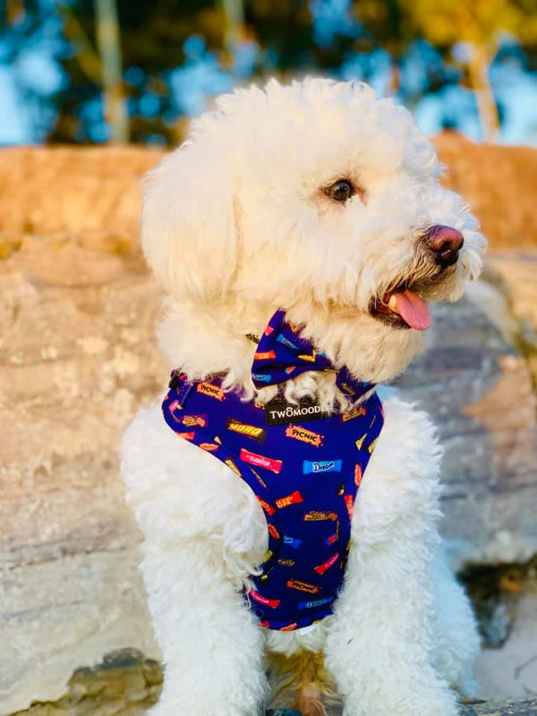 FAVEMUTT ADJUSTABLE HARNESS - Twomoodles