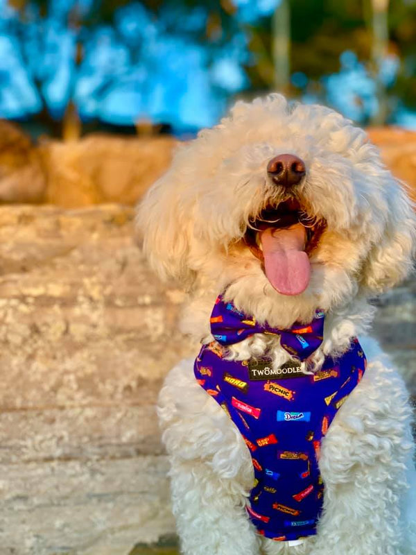 FAVEMUTT ADJUSTABLE HARNESS - Twomoodles