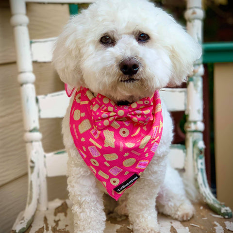 ARMUTTS BISCUITS BANDANA - Twomoodles
