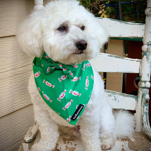 MINTIES BANDANA - Twomoodles