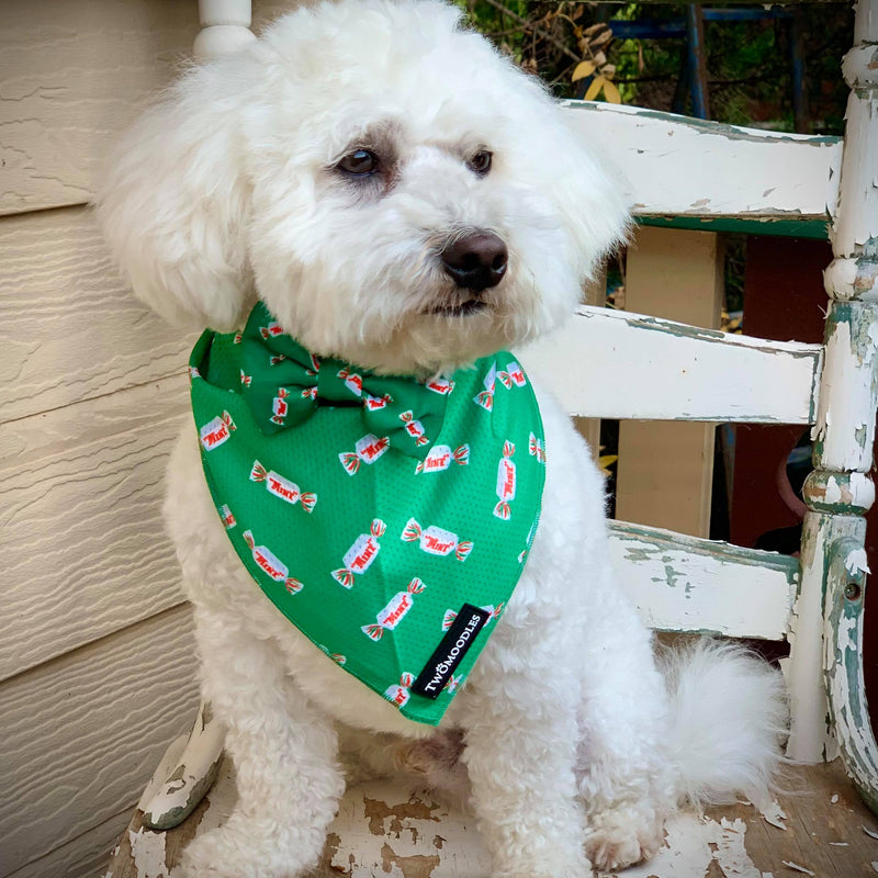MINTIES BANDANA - Twomoodles