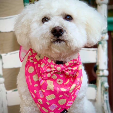 ARMUTTS BISCUITS BANDANA - Twomoodles