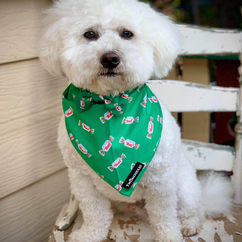 MINTIES BANDANA - Twomoodles