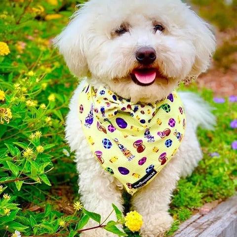AUSSIE EASTER BANDANA - Twomoodles
