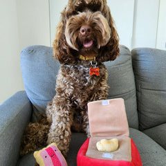 BURROW TOY - ARMUTTS BISCUITS