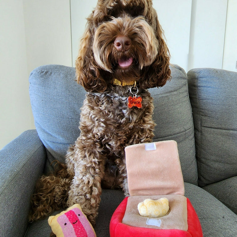 BURROW TOY - ARMUTTS BISCUITS