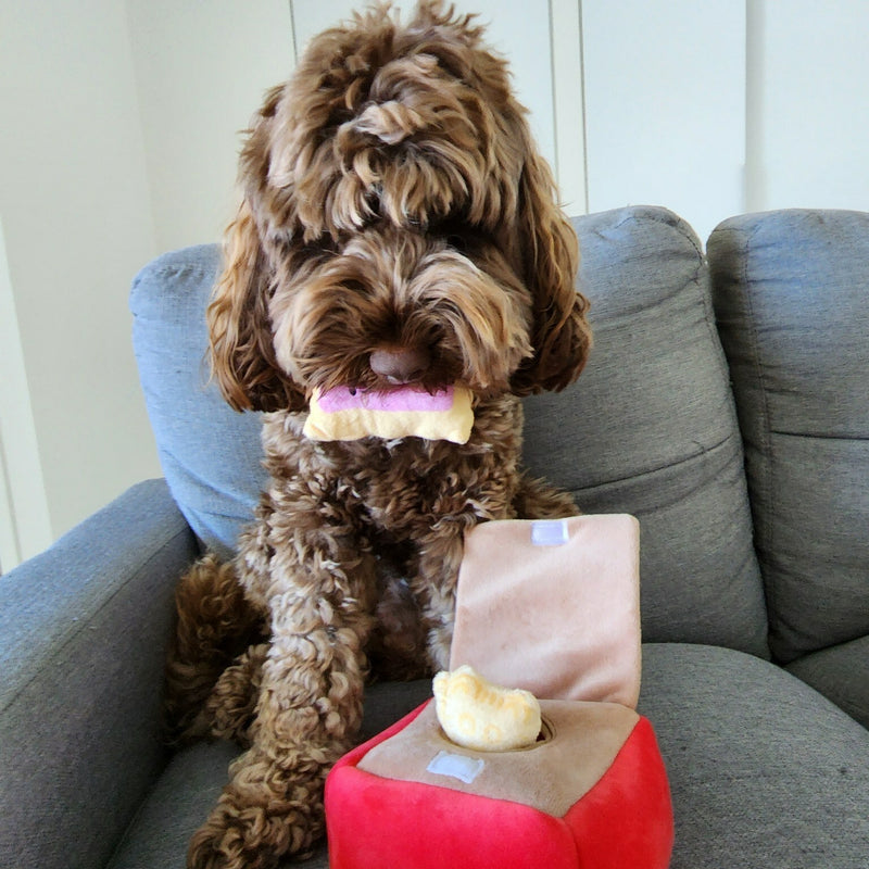 BURROW TOY - ARMUTTS BISCUITS